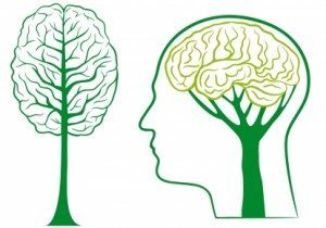 stockfresh_id408794_green-brain-tree-vector_sizeXS