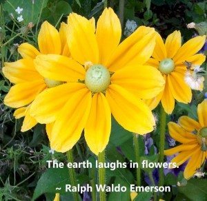 EarthLaughs-RalphWaldoEmerson