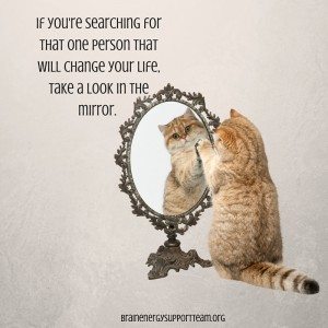 BEST Cat and Mirror