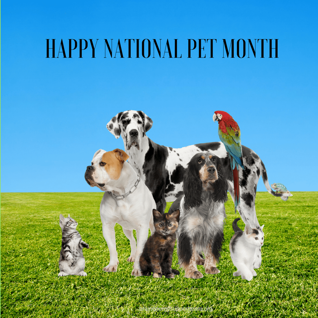 Happy National Pet Month! Brain Energy Support Team