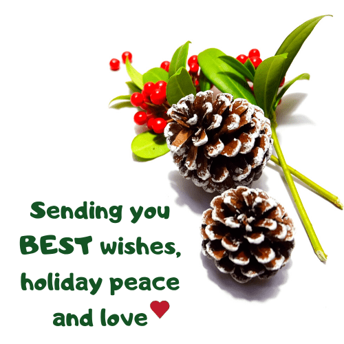 Best holiday newsletter 2019