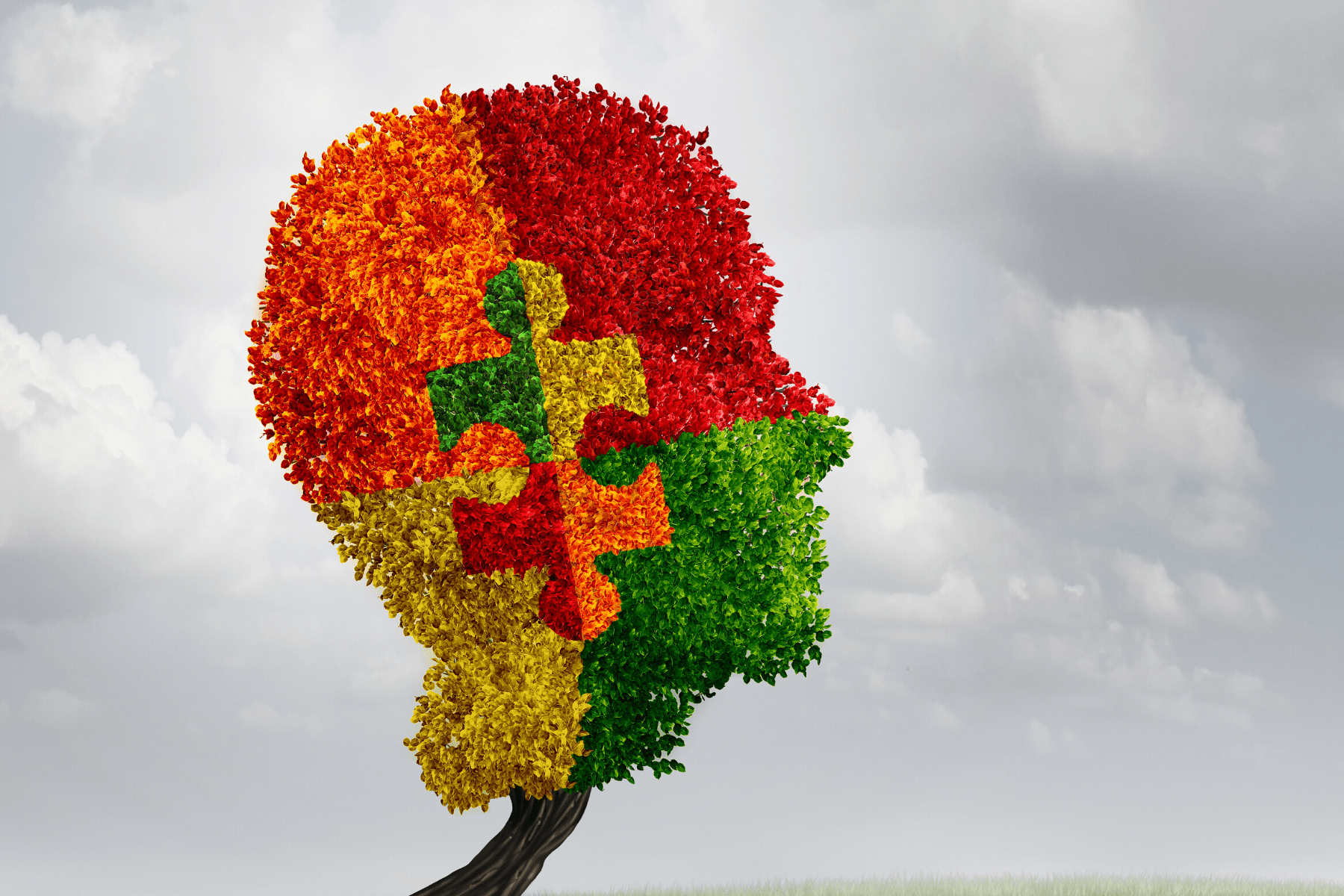 Brain Injury Facts
