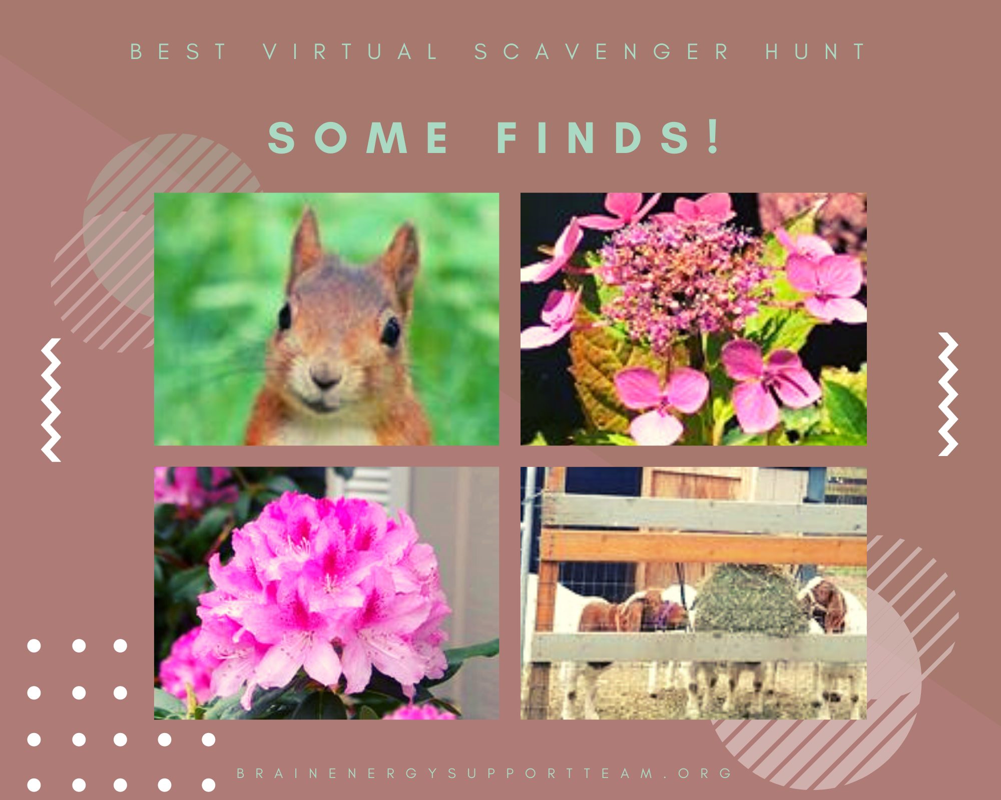 Final week of BEST Virtual Scavenger Hunt Coming Up!