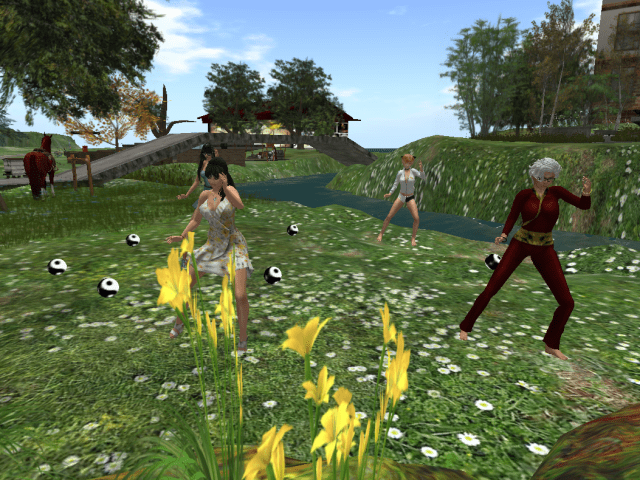 Tai Chi at Serenity Park