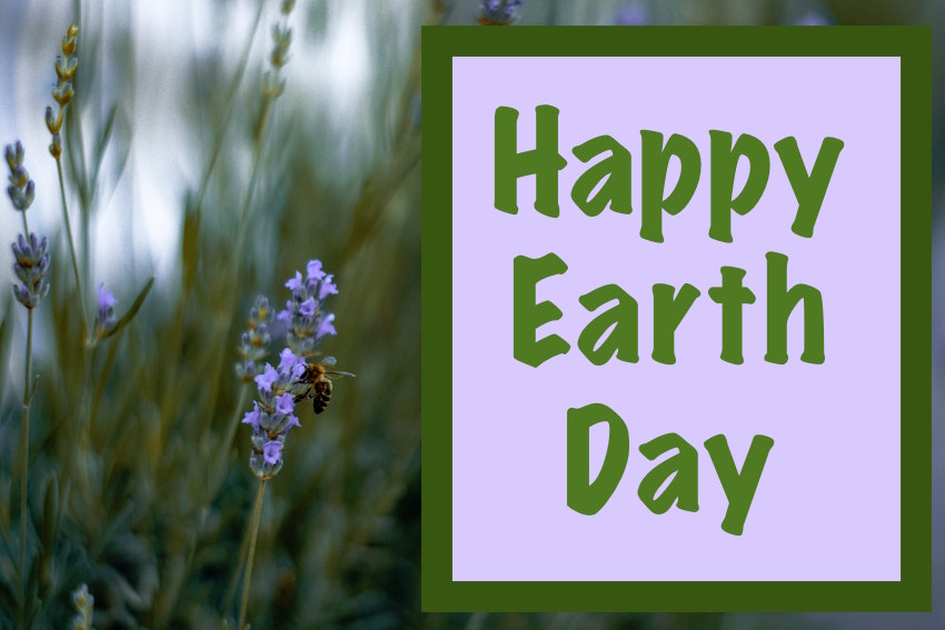 Happy Earth Day message on a photo of lavendar with a bee.