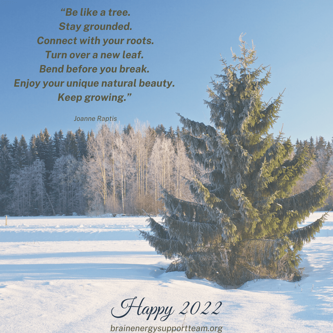 A lone pine tree in the snow, with a wintry forest in the distance and clear skies in the background