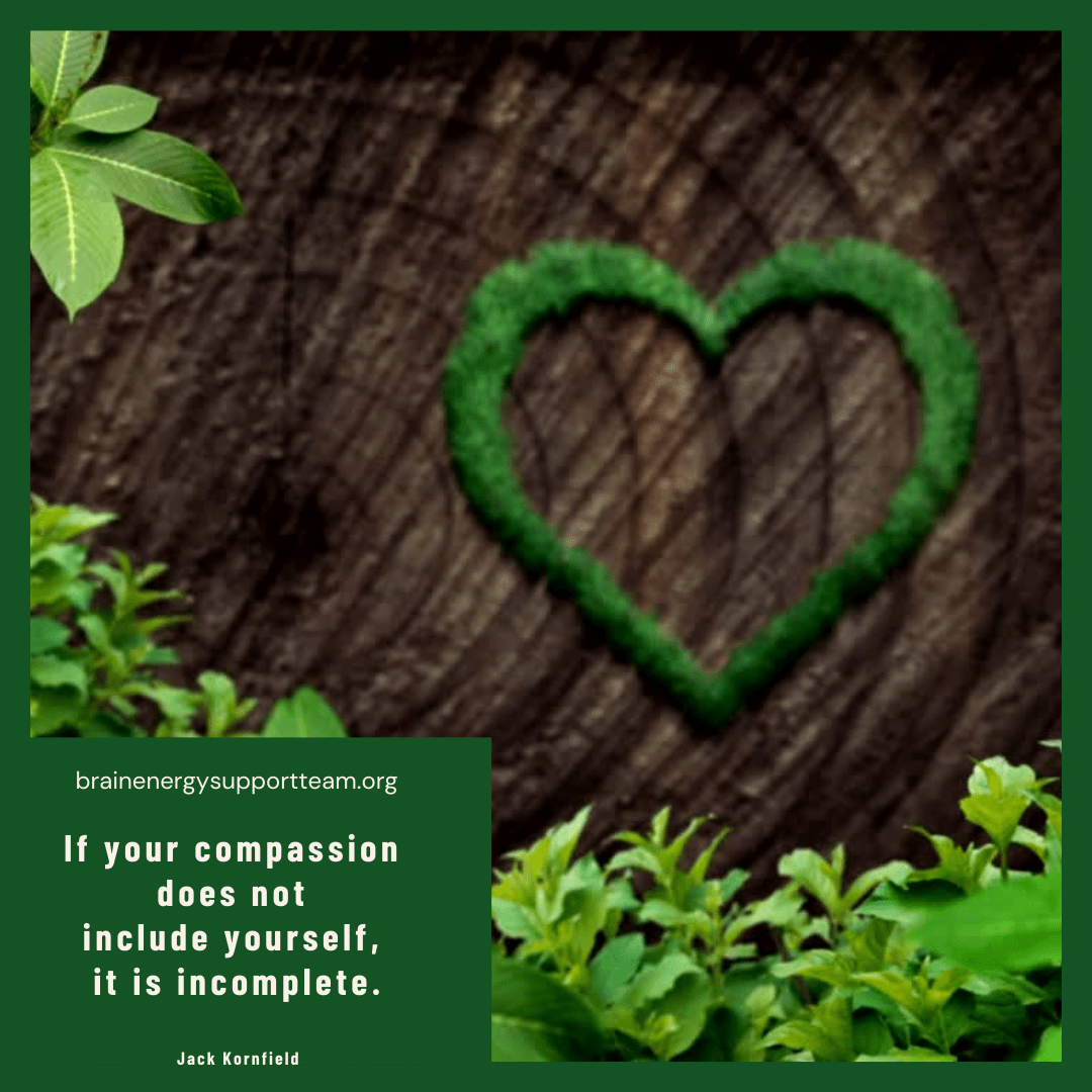 A heart made of moss on the base of a tree trunk, surrounded by green ground shrubs and plants